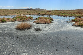 در اثر این تخلیه غیرقانونی، محوطه وسیعی از خاک زمینهای مجاور، آلوده و تخریب شده و بوی نامطبوع و تخریب خاک در این منطقه را رقم زده است