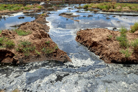 فاضلابهای صنعتی حاوی مواد سمی و شیمیایی مختلفی از جمله فسفر، نیتروژن و آمونیاک و غیره بوده و باعث مسموم شدن آبها و مسمومیت جانداران میشوند