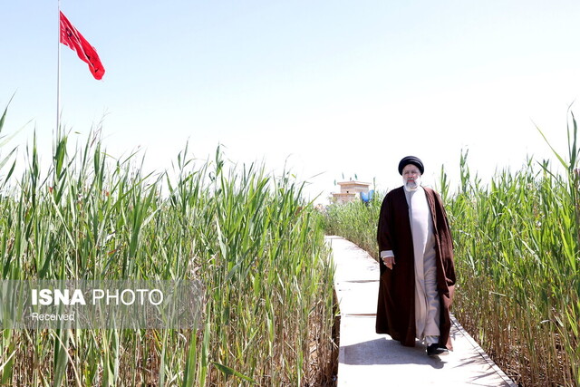 بدون تعارف با دختر شهید رئیسی بدون تعارف با دختر شهید رئیسی