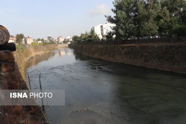 برنامه عزیز جمهور برای برگرداندن زر و گوهر به دامان طبیعت