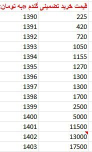 رشد ۲۵۰ درصدی نرخ خرید تضمینی گندم در دولت سیزدهم