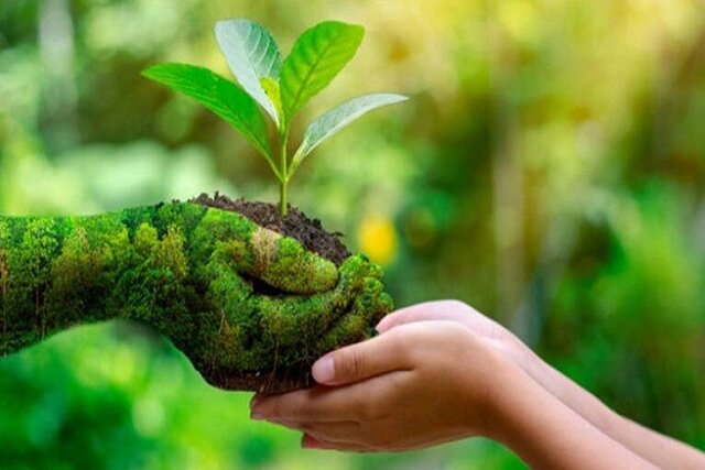 چالشهای تولید محصولات ارگانیک در خراسان شمالی با آفتکشهای بیآفت