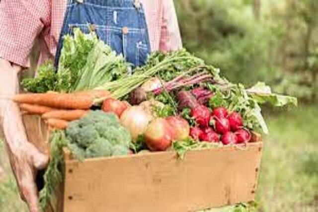 چالشهای تولید محصولات ارگانیک در خراسان شمالی با آفتکشهای بیآفت