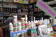کشف ۴ تن و ۲۰۰ کیلوگرم سموم کشاورزی فاقد مجوز در الیگودرز