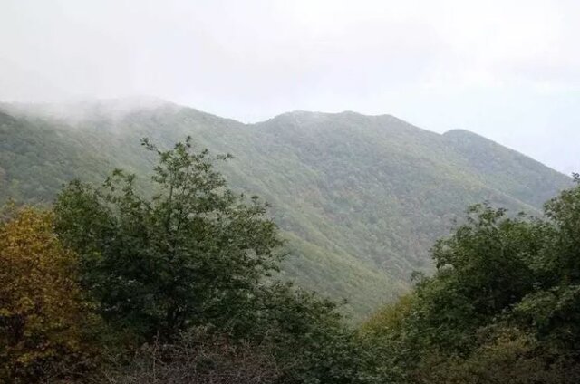 تغییر نام منطقه حفاظت شده دیزمار به «شهید جمهور» تغییر نام منطقه حفاظت شده دیزمار به «شهید جمهور»