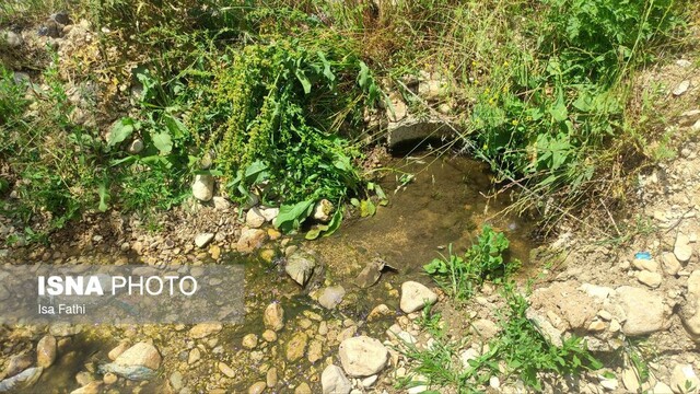 مشکل فاضلاب بیمارستان امام سجاد یاسوج چگونه حل میشود