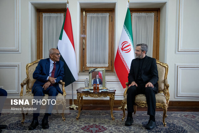 وزیر خارجه سودان: ایران این مرحله حساس را با موفقیت پشت سر میگذارد وزیر خارجه سودان: ایران این مرحله حساس را با موفقیت پشت سر میگذارد