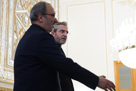 دیدار وزیر امور خارجه عمان با علی باقری