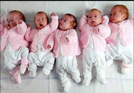 عکس تزئینی است زندگی به اضافه پنج