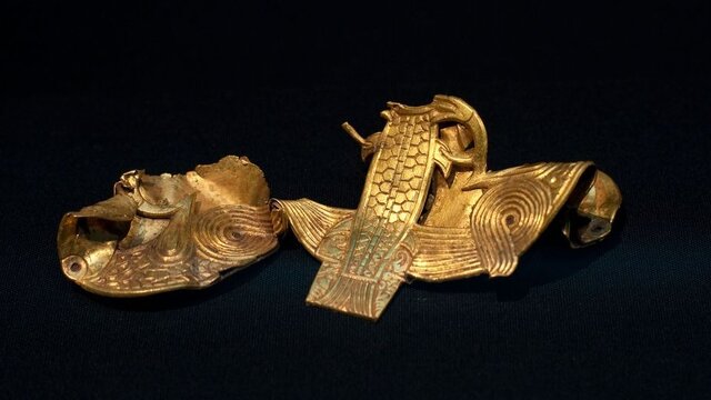 گنجینههایی که آماتوری کشف شدهاند