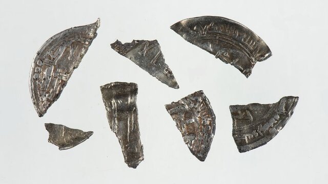 گنجینههایی که آماتوری کشف شدهاند