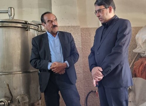 ۳۳ هکتار از اراضی شهرستان راور زیر کشت گل محمدی قرار دارد