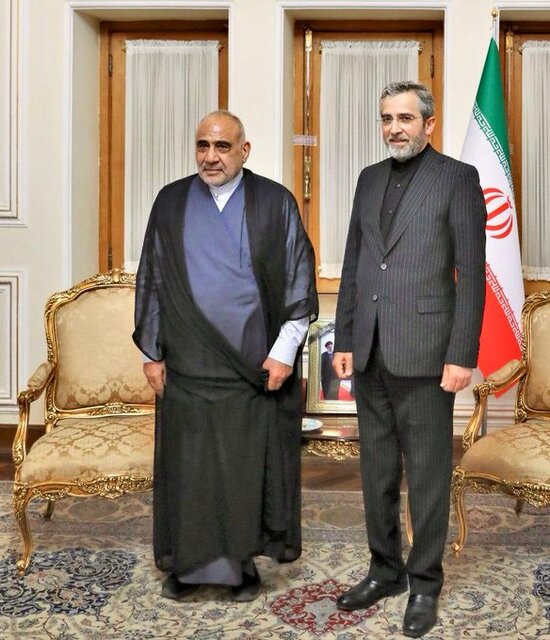 تاکید باقری بر ضرورت ایفای نقش نخبگان جهان اسلام برای توقف جنایات در فلسطین تاکید باقری بر ضرورت ایفای نقش نخبگان جهان اسلام برای توقف جنایات در فلسطین