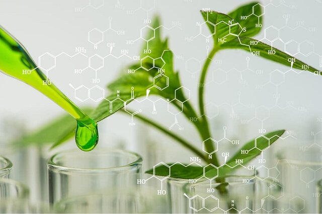 استفاده از اسانس گیاهان برای صنایع دارویی استفاده از اسانس گیاهان برای صنایع دارویی