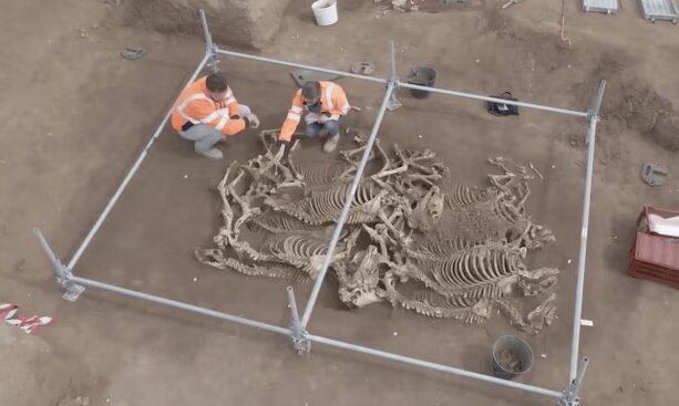 کشف اسب‌هایی که ۲۰۰۰ سال پیش دفن شدند