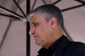 محمد اسلامی، رئیس سازمان انرژی اتمی 