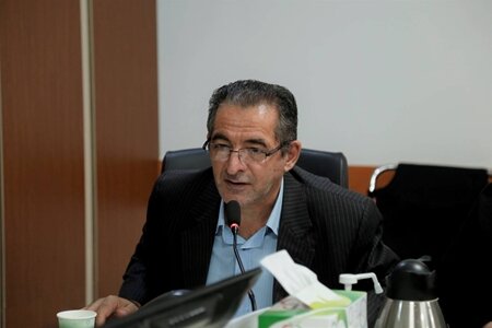 عکس تزیینی است. ۷ استان در معرض خطر پشه آئدس/نگرانی شیوع بیماری در شهریور و مهر