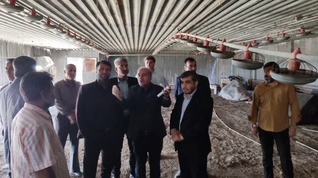 بزرگترین واحد تولید مرغ گوشتی در شهرستان ورامین بعد از ۳۰ سال تعطیلی احیا شد بزرگترین واحد تولید مرغ گوشتی در شهرستان ورامین بعد از ۳۰ سال تعطیلی احیا شد