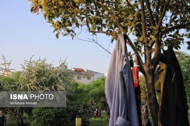 بانوان حاضر در پارک بانوان رشت، چه دغدغهای دارند؟