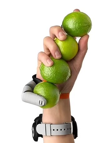 انسانها در آینده میتوانند انگشت شست سوم داشته باشند