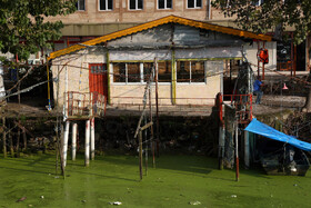 ایستگاه قایق سواری در تالاب انزلی پوشیده از گیاه مهاجم آزولا