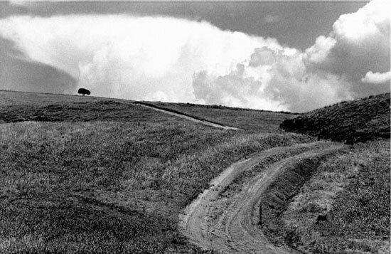 از نمونه عکسهای عباس کیارستمی نمایش عکسهای زیستمحیطی از کیارستمی، کیانیان و ۸ هنرمند دیگر