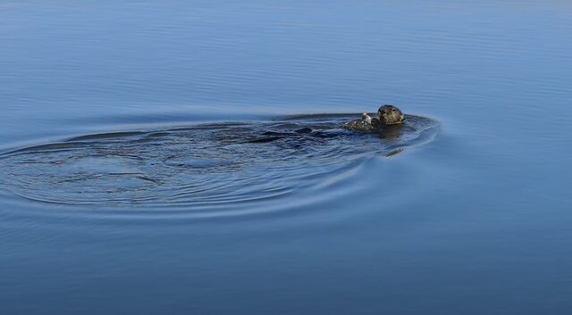 برترین تصاویر علمی ماه از نگاه مجله «نیچر»