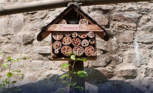 روزی برای حمایت از سرمایههای زمین