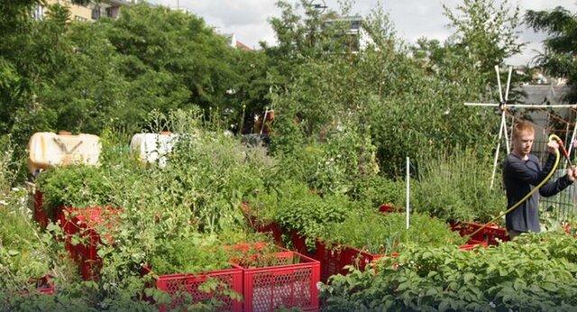 روزی برای حمایت از سرمایههای زمین