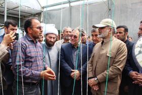 بازدید وزیر کشور از شهرک گلخانه ای امام رضا ( ع ) در شهر مانه -  خراسان شمالی