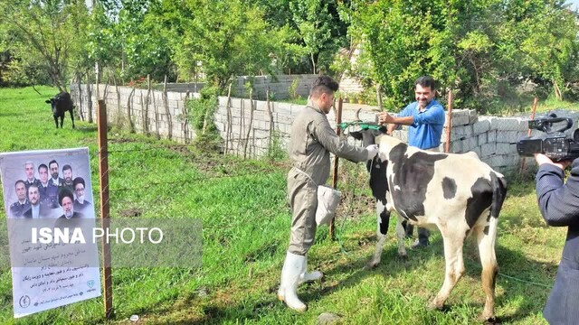 اردوی جهادی دامپزشکی در گیلان برگزار شد