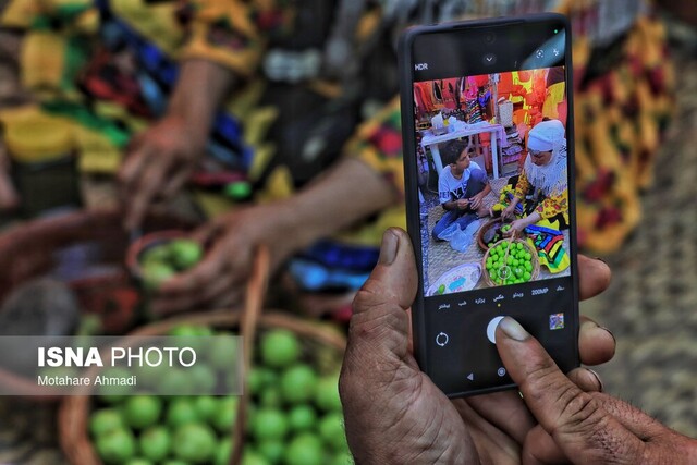 جشنواره آلوچه در گوراب زرمیخ برگزار شد + ویدیو