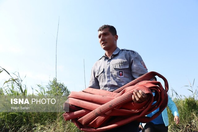 آتش در تالاب انزلی خاموش شد + تصاویر