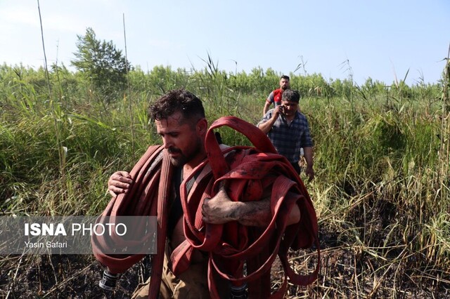 آتش در تالاب انزلی خاموش شد + تصاویر