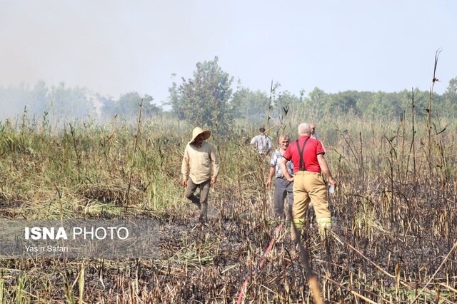 آتش در تالاب انزلی خاموش شد + تصاویر