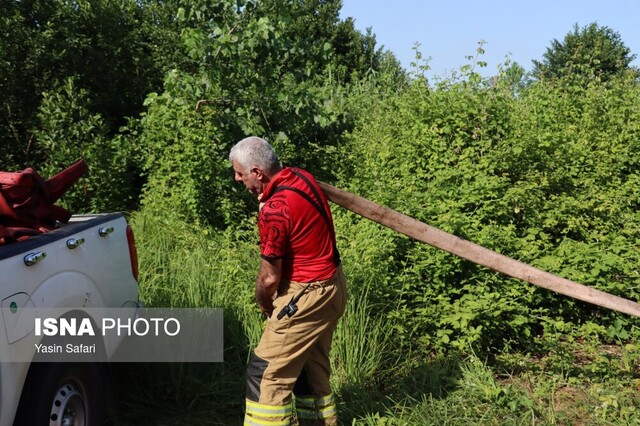 آتش در تالاب انزلی خاموش شد + تصاویر
