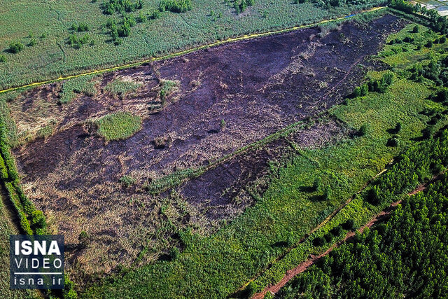 ویدیو/ مهار آتش در تالاب انزلی ویدیو/ مهار آتش در تالاب انزلی