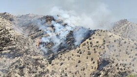 ۳۶۹ هکتار  از جنگلها و مراتع «آب‌نارون» کهگیلویه در آتش سوخت