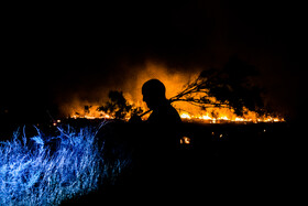مهار ۳ آتش‌سوزی در جنگل‌ها و مراتع شهرستان چرام
