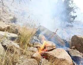 ‌موضوع آتش سوزی جنگل ها و مراتع ‌نگران‌کننده است