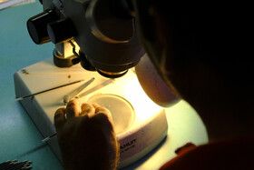 بازدید از کارخانه های دانش بنیان شهرک صنعتی شمس آباد