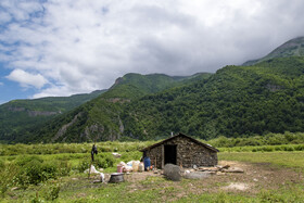 دشت دریاسر در تنکابن - استان مازندران