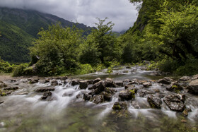 دشت دریاسر در تنکابن - استان مازندران