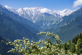 دشت دریاسر در تنکابن - استان مازندران