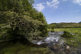 دشت دریاسر در تنکابن - استان مازندران