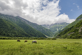 دشت دریاسر در تنکابن - استان مازندران