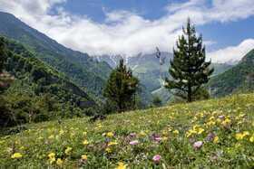 دشت دریاسر در تنکابن - استان مازندران