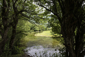 دشت دریاسر در تنکابن - استان مازندران