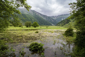 دشت دریاسر در تنکابن - استان مازندران