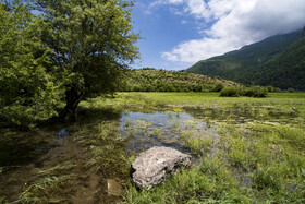 دشت دریاسر در تنکابن - استان مازندران